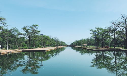 Tranquil Waters-trees